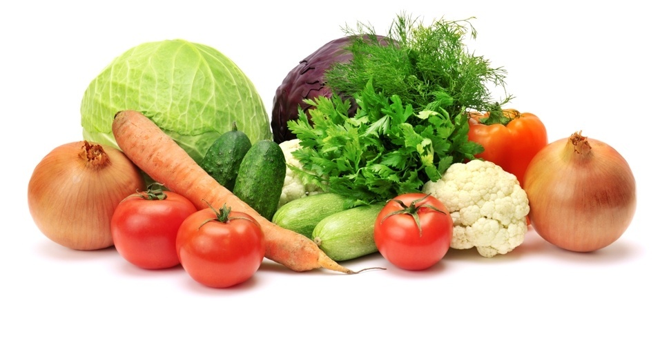 nutricion holistica